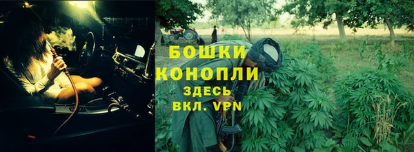 стафф Богородск