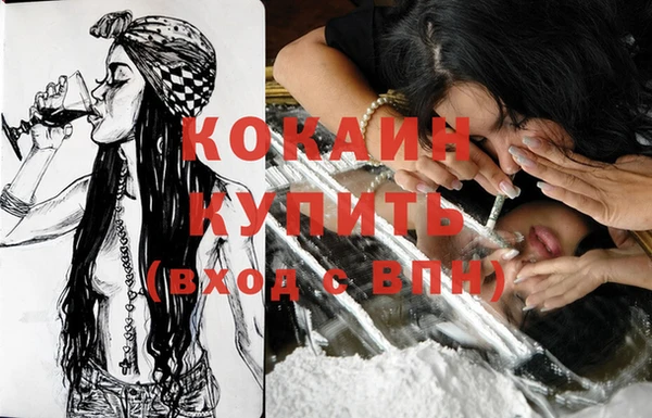 кокс Богородицк