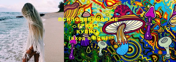 кокаин Богданович